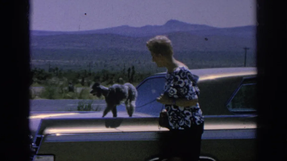 Closer 1962 home-movie frame of a leashed poodle on a sedan hood while a woman stands beside the car on a roadside stop.