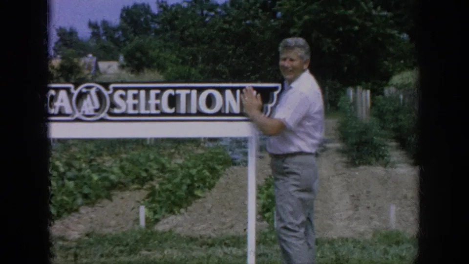 The man remains beside the All-America Selections sign, framed by 8mm borders and planted rows in Blainsport, Pennsylvania.