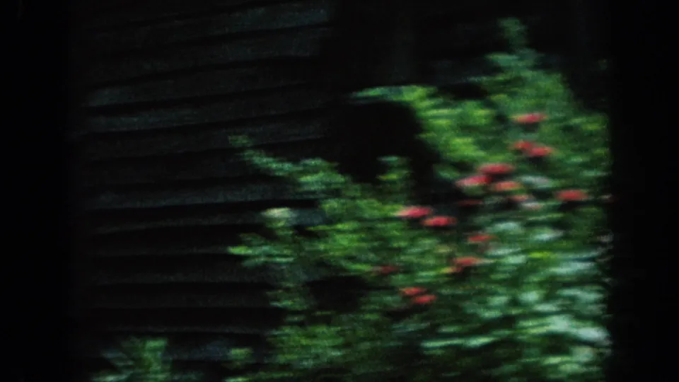 Motion-blurred garden plants with red flowers stand against the dark wooden cabin exterior in Blainsport, 1962.