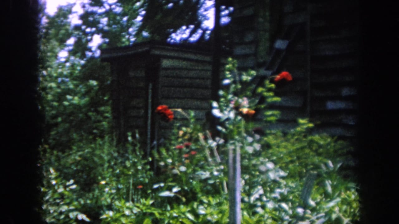 1962 Blainsport home-movie frame showing a small rustic wooden structure amid dense garden greenery and red flowers.