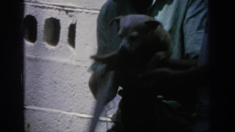 A person in a light-colored shirt holds a small dark puppy against the same cinder block wall in the 1962 home-movie scene.