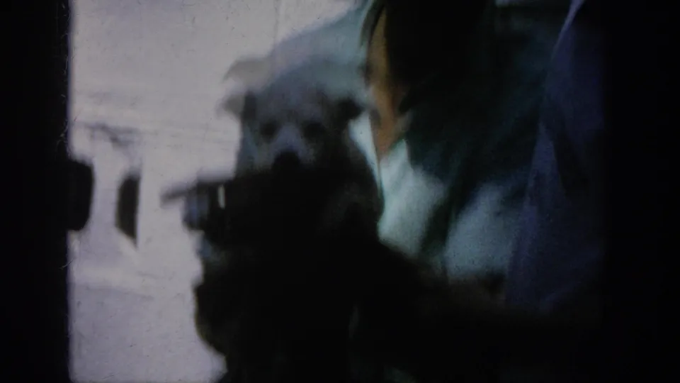 A blurred 1962 Blainsport frame shows a person holding the puppy in the foreground, with the elderly woman indistinct in the background.