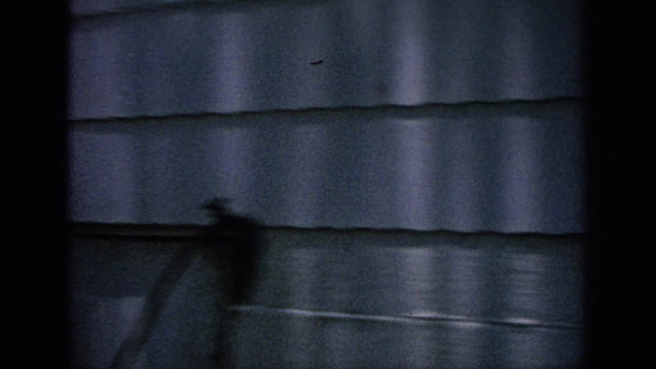 Dark-framed view of house siding with a blurred object or shadow near the wall.