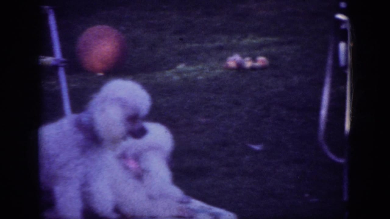 1962 Blainsport home-movie frame showing a white poodle on grass near an orange balloon and a metal lawn chair.