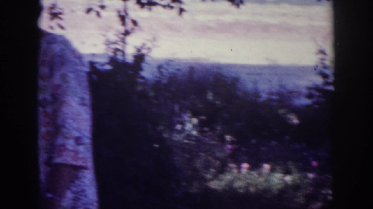 The camera pans past a tree trunk toward shrubs, flowers, and a distant soft sky in the Blainsport backyard.