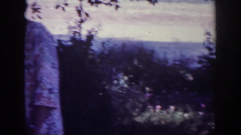 The camera pans past a tree trunk toward shrubs, flowers, and a distant soft sky in the Blainsport backyard.