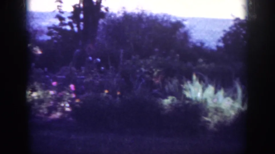 A soft, grainy 8mm view shows backyard flowerbeds, shrubs, trees, and a pale sky beyond the garden.