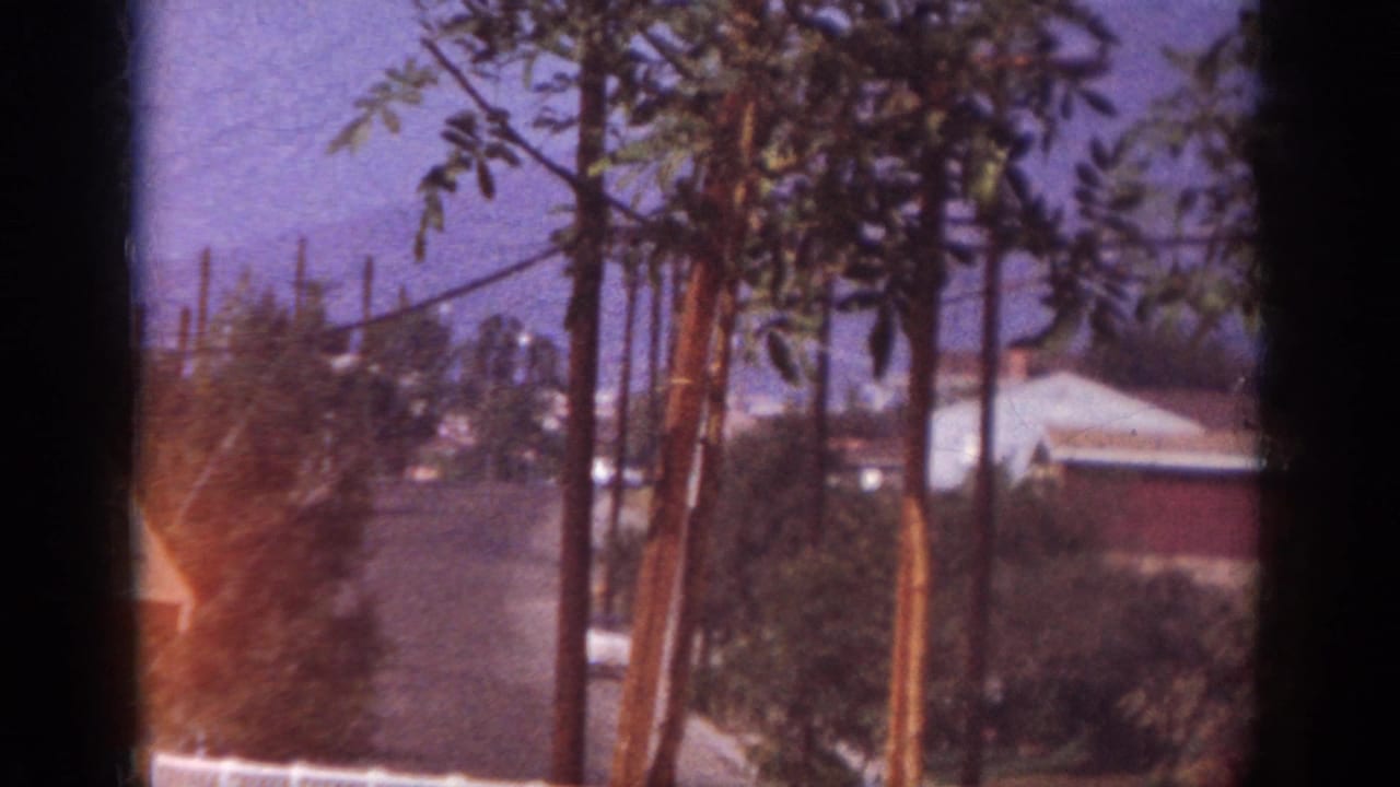 1962 Blainsport backyard view with young trees on stakes, shrubs, nearby rooftops, and visible 8mm frame edges.