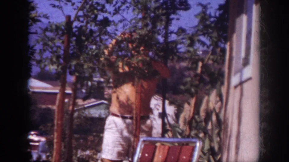 The home-movie frame shows the man from behind trimming foliage among staked young trees in the Blainsport yard.