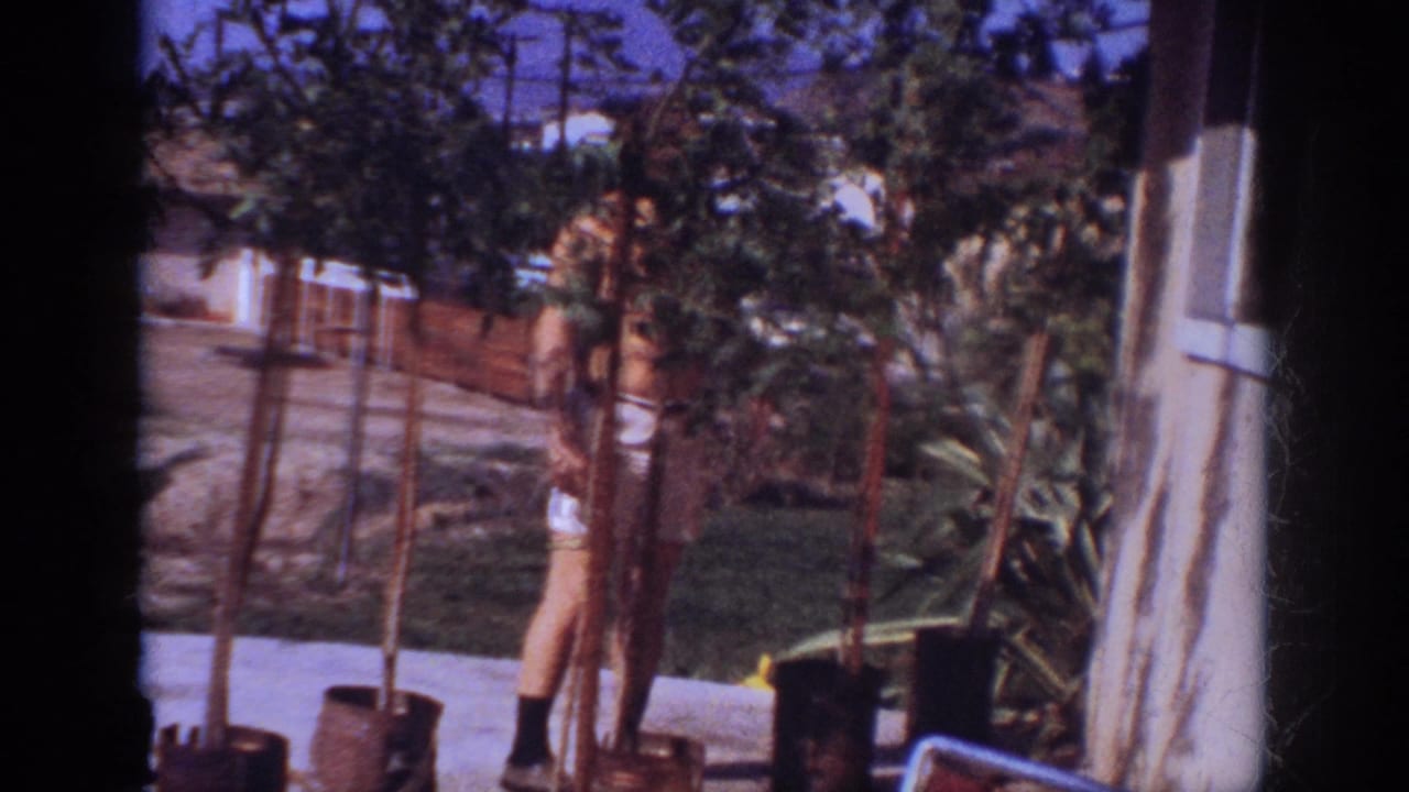 In the 1962 Blainsport home-movie scene, a shirtless man stands near potted trees on a bright residential patio.