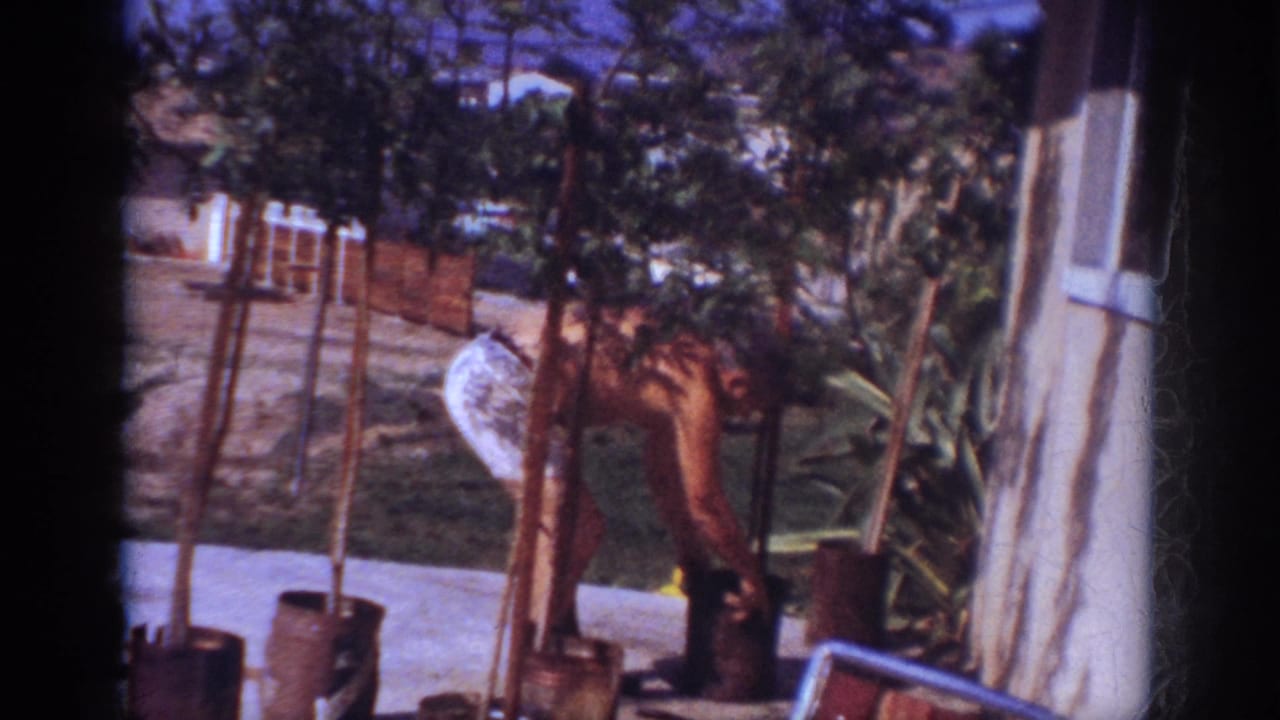 Man bends toward a potted tree beside a porch column and railing.