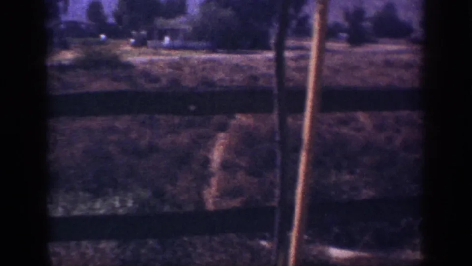 A dark, soft-focused frame shows the yard and background trees, with a vertical trunk or handle close to the camera.