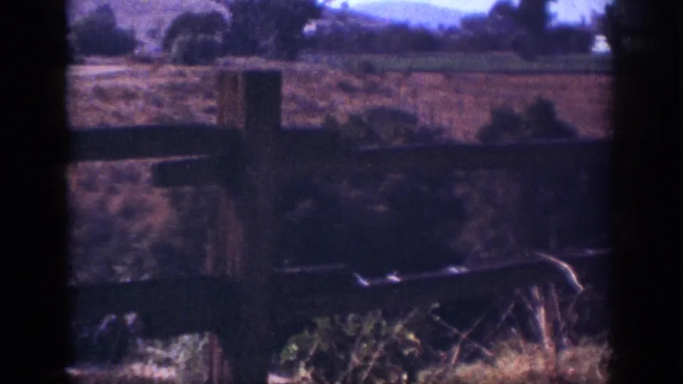 Mid-pan 8mm view from Blainsport in 1962, with a wooden fence, tall grass, open field, and tree line.