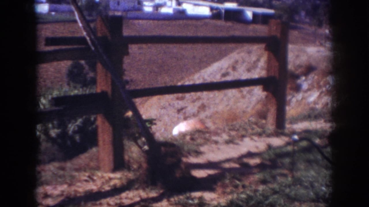 Fence posts and rails stand in front of a dirt slope with plants and a white object nearby.