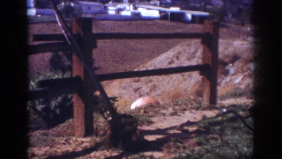 1962 Blainsport home-movie frame showing a fence, dirt bank, vegetation, and a partially obscured foreground area.