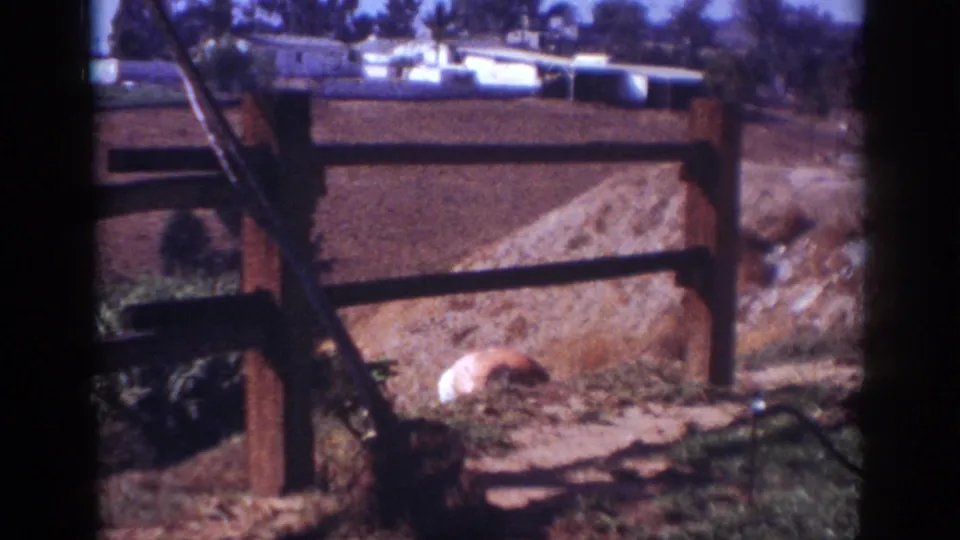 1962 Blainsport frame showing wooden rails across a dirt mound, a white object, low vegetation, and background buildings.