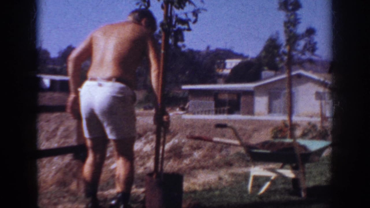 The man works beside a sapling and support stake in a sunny suburban backyard in Blainsport, Pennsylvania.