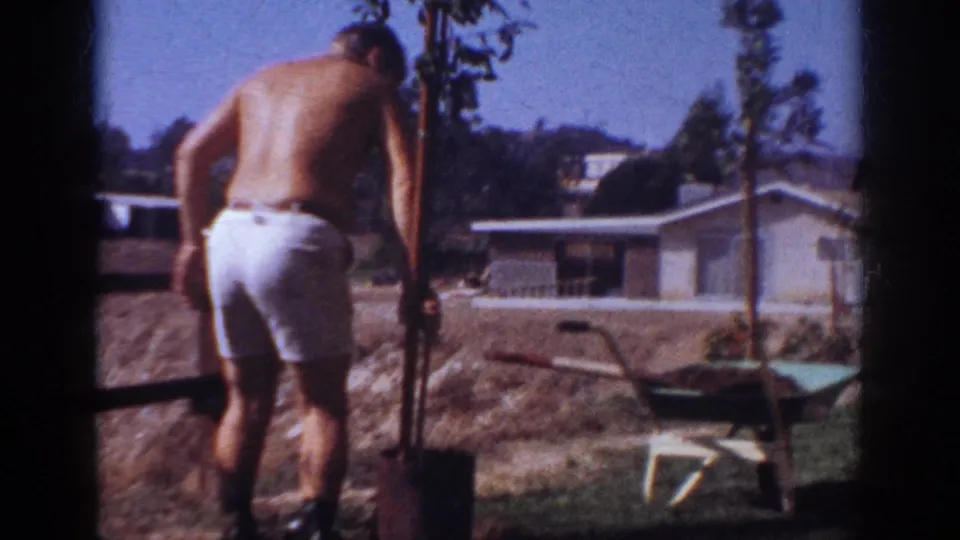The man works beside a sapling and support stake in a sunny suburban backyard in Blainsport, Pennsylvania.