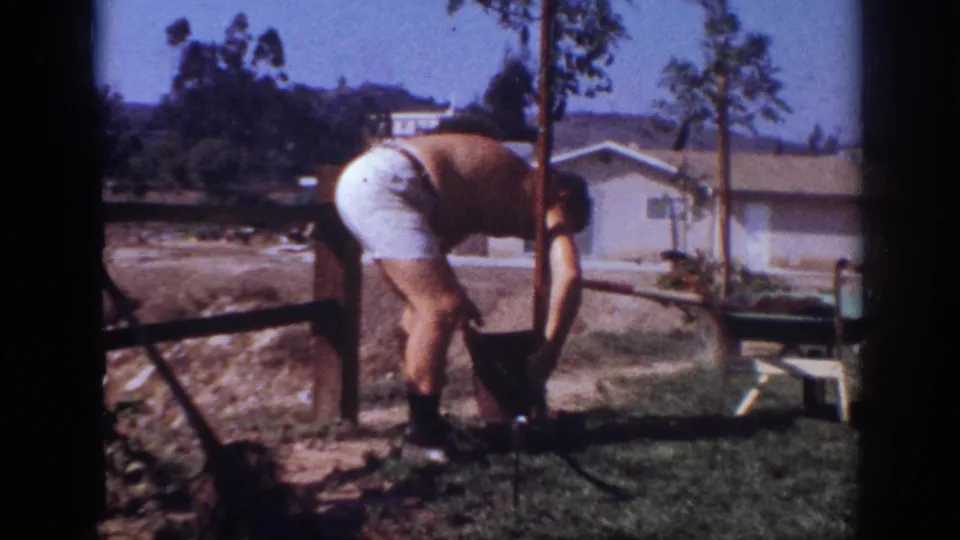 A shirtless man leans over the planting area in a 1962 suburban backyard, with lawn and house visible behind him.