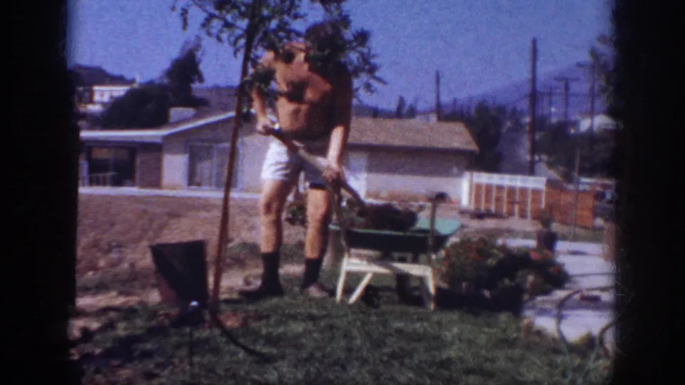 In the final frame, the man stands with a long-handled tool beside the planted tree in the sunny Blainsport backyard.