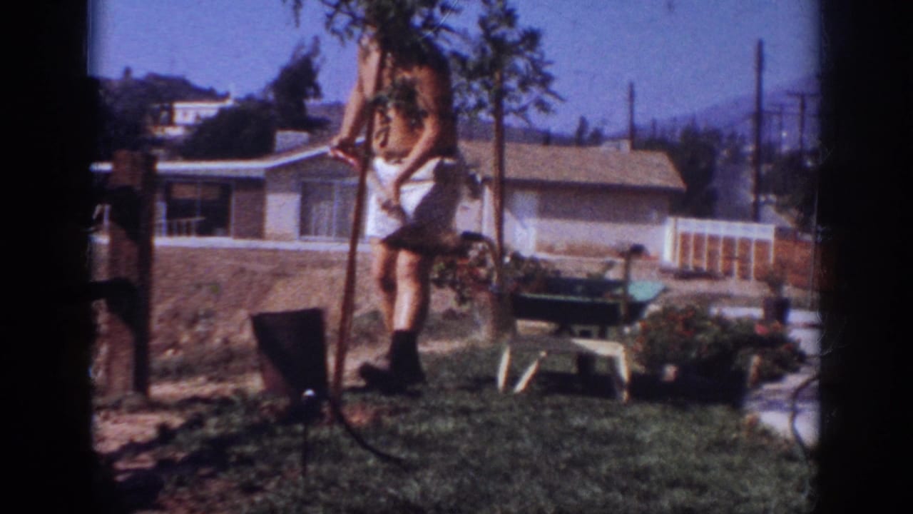 In a 1962 Blainsport backyard scene, a shirtless man stands on grass with a shovel beside a young tree, with a wheelbarrow and house behind him.