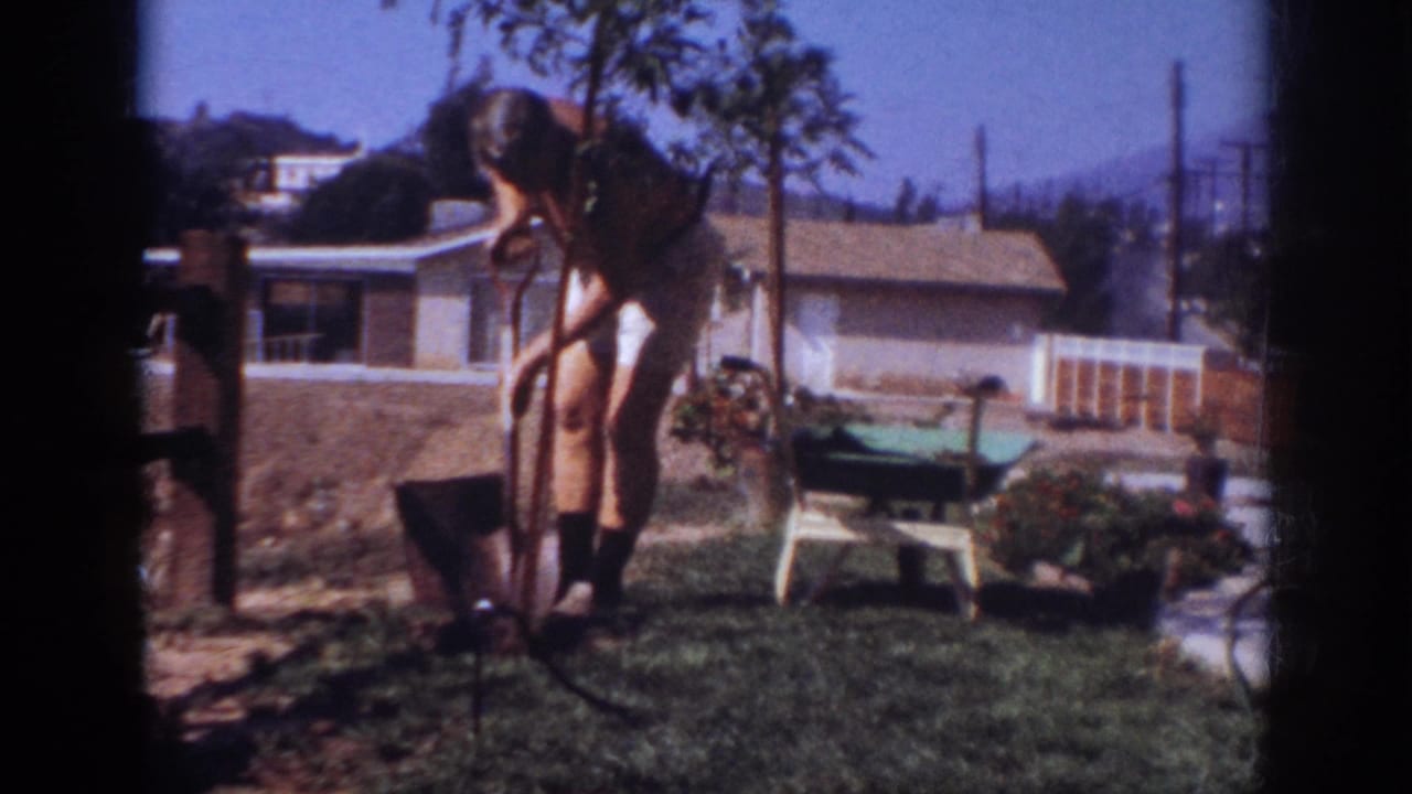 Man bends over a shovel while working near a small tree in a backyard lawn.