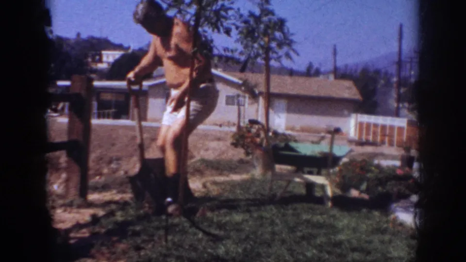 A shirtless man digs into the lawn with a shovel during the 1962 backyard tree-planting scene, with a wheelbarrow and potted plants nearby.