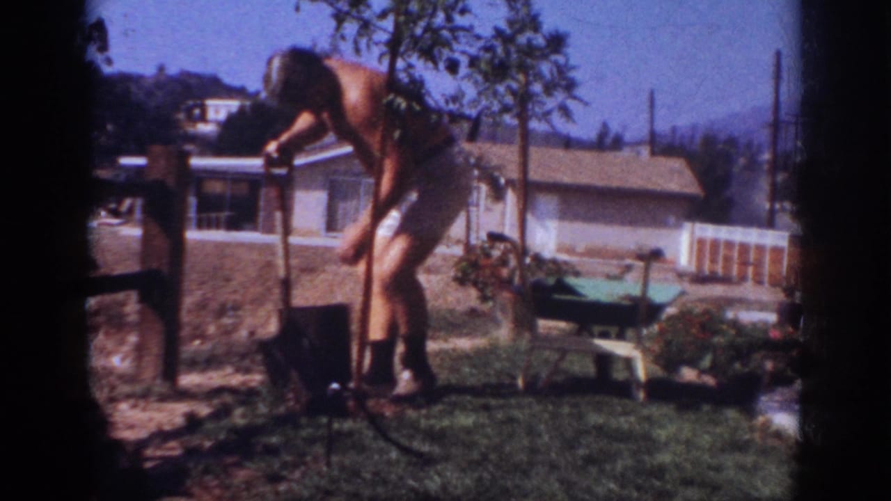 In Blainsport, Pennsylvania, 1962, a shirtless man in white shorts bends over a shovel beside a young tree in a suburban backyard.