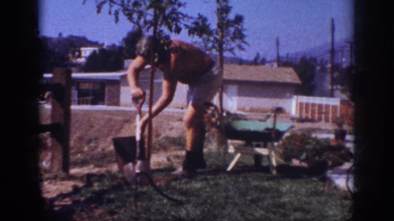 In 1962 Blainsport, Pennsylvania, a shirtless man bends over with a shovel beside a young tree in a suburban backyard.