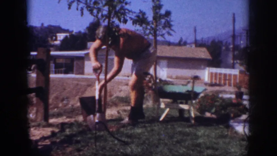 In 1962 Blainsport, Pennsylvania, a shirtless man bends over with a shovel beside a young tree in a suburban backyard.