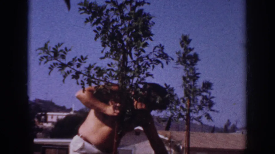 1962 Blainsport frame showing the man bent beneath the sapling canopy, with rooftops, trees, and hillside in the background.