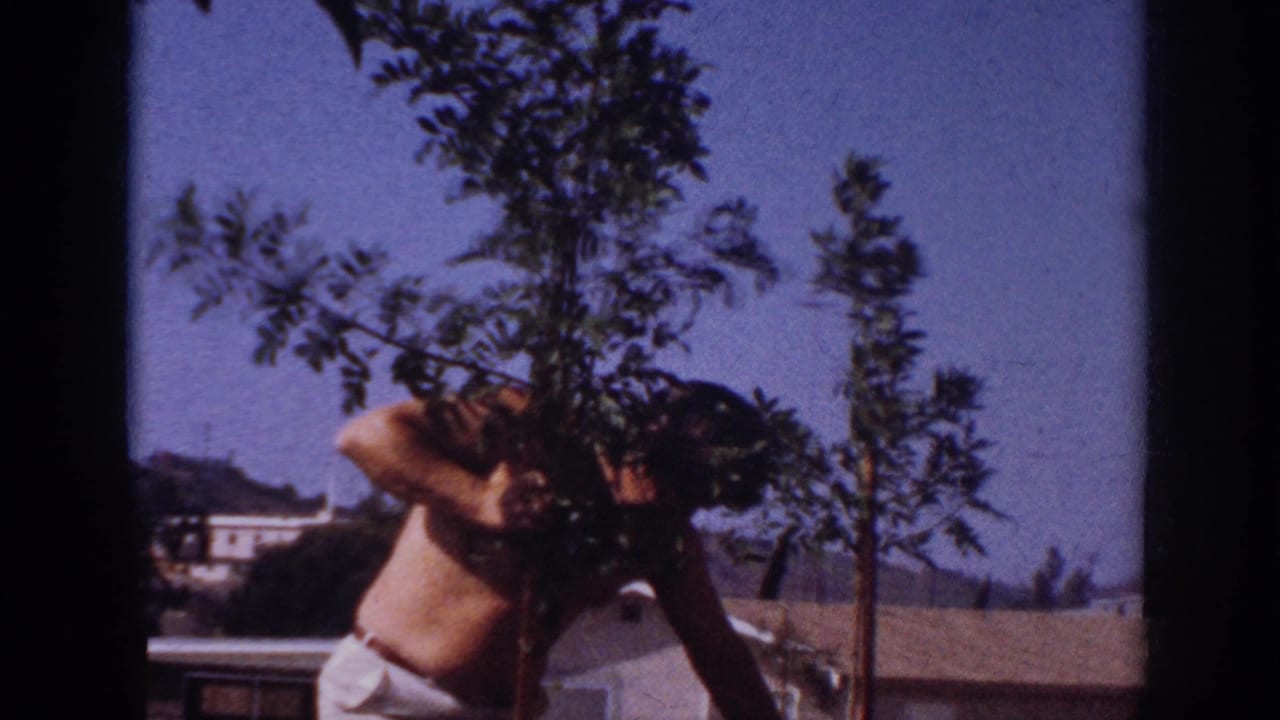 In 1962 Blainsport, Pennsylvania footage, a shirtless adult man bends beside a sapling with rooftops, hills, and blue sky behind him.