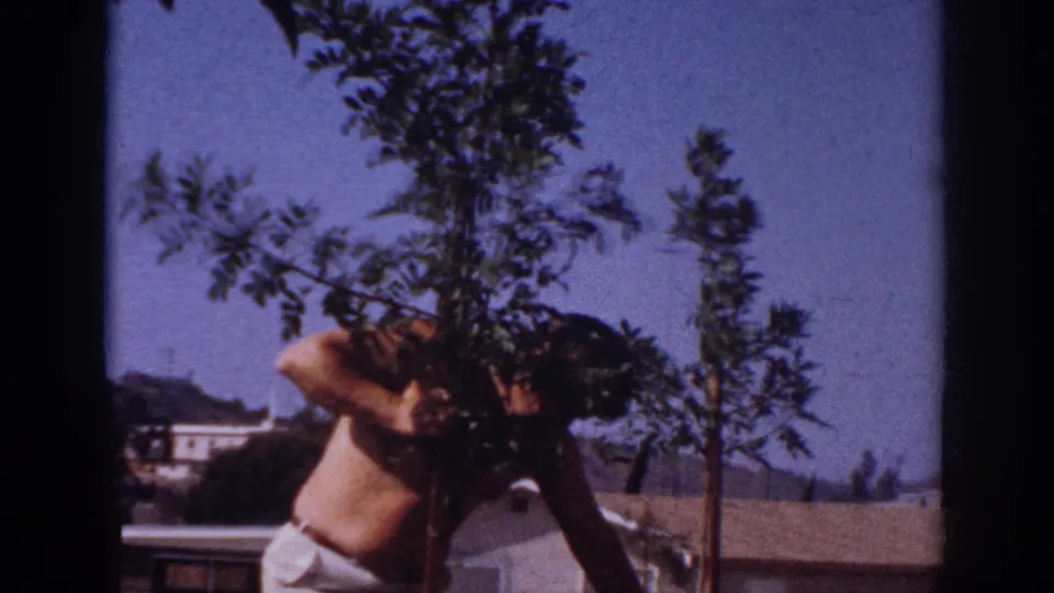 In 1962 Blainsport, Pennsylvania footage, a shirtless adult man bends beside a sapling with rooftops, hills, and blue sky behind him.
