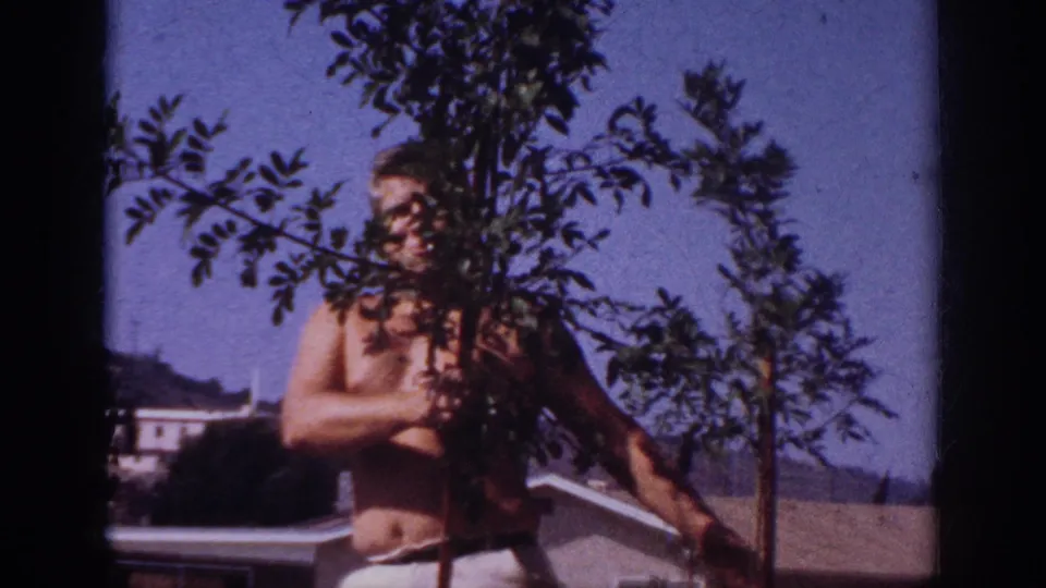 A shirtless adult man stands partly hidden by the sapling branches during the 1962 backyard planting scene in Blainsport, Pennsylvania.