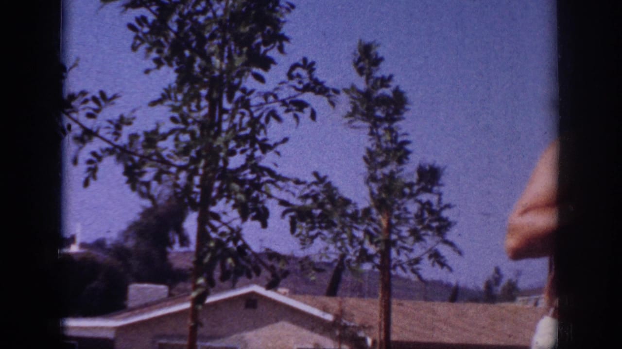 Blainsport, Pennsylvania, 1962 home-movie frame showing young trees, a roofline, blue sky, and a partial person at frame edge.