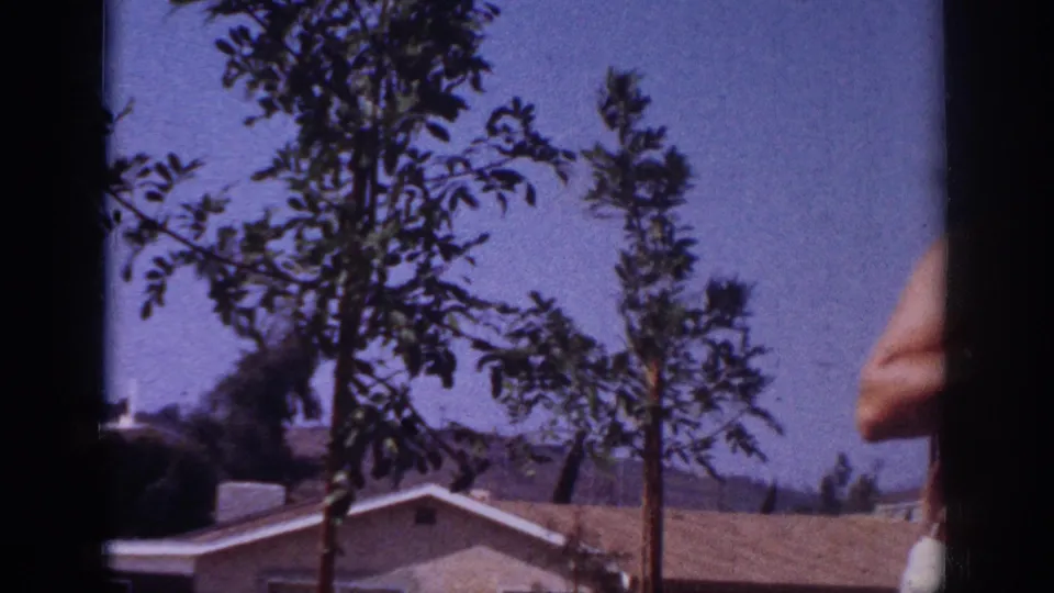 Blainsport, Pennsylvania, 1962 home-movie frame showing young trees, a roofline, blue sky, and a partial person at frame edge.