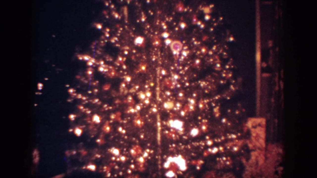 Decorated Christmas tree in a dark Pennsylvania home interior, with glowing lights and ornaments dominating the frame.