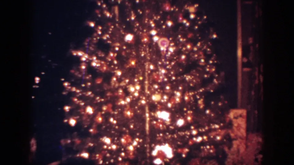 Decorated Christmas tree in a dark Pennsylvania home interior, with glowing lights and ornaments dominating the frame.