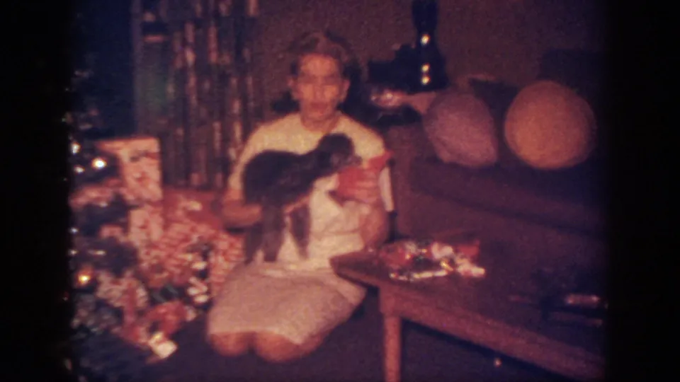 In the final frame, the woman faces the camera with the dog in her arms inside the decorated 1962 holiday living room.