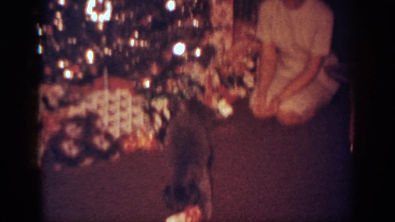 In a 1962 Blainsport, Pennsylvania home movie, a puppy noses gifts beneath a Christmas tree while a kneeling woman is partly visible.