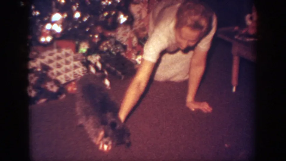 The woman leans forward on the carpet and reaches toward the puppy beside wrapped gifts and a decorated tree in the 1962 home movie.