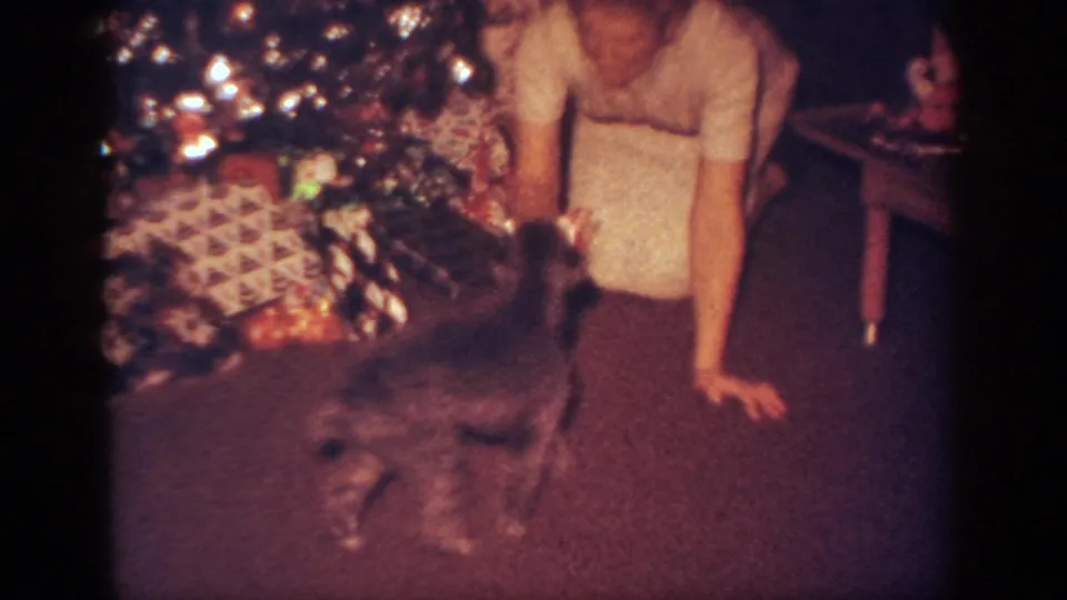 A small dark puppy moves in the foreground while the woman kneels behind it near the Christmas tree and presents in Blainsport, Pennsylvania.