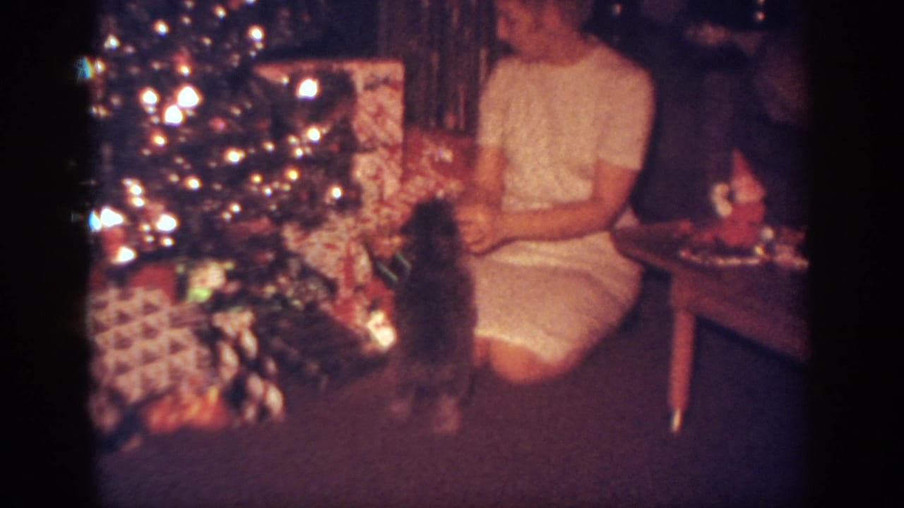 Woman seated beside a lit Christmas tree as a small puppy stands near wrapped gifts.
