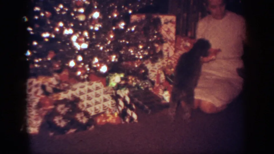 The puppy stands upright near the seated woman, with a decorated Christmas tree and stacks of wrapped gifts filling the left side of the frame.