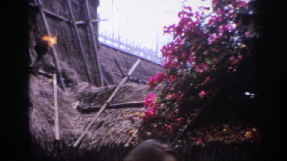 1962 Anaheim frame with a burning torch, thatched roof, bamboo supports, and pink bougainvillea near the Tiki Room exterior.