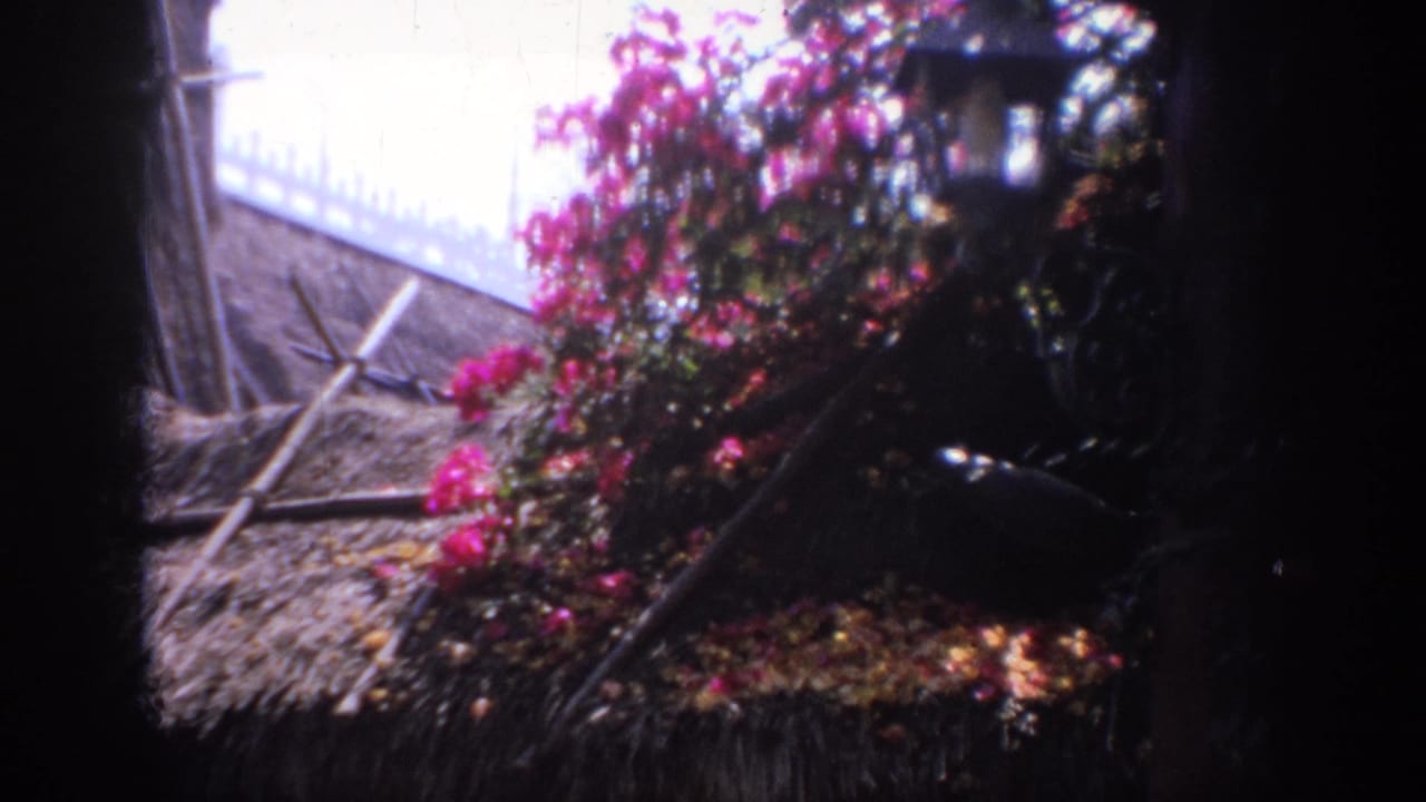 1962 Anaheim 8mm frame showing a thatched garden structure with pink bougainvillea and heavy shadow at the edges.