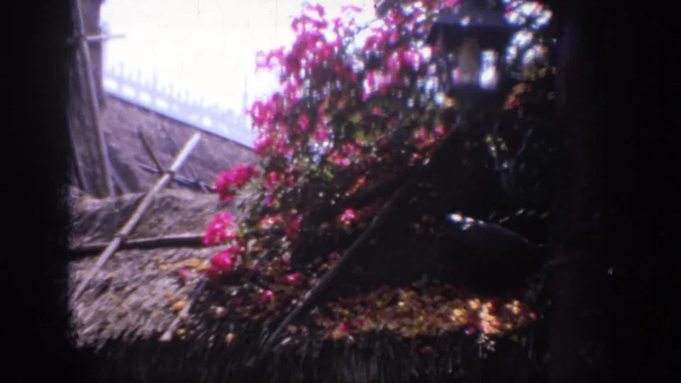 1962 Anaheim 8mm frame showing a thatched garden structure with pink bougainvillea and heavy shadow at the edges.