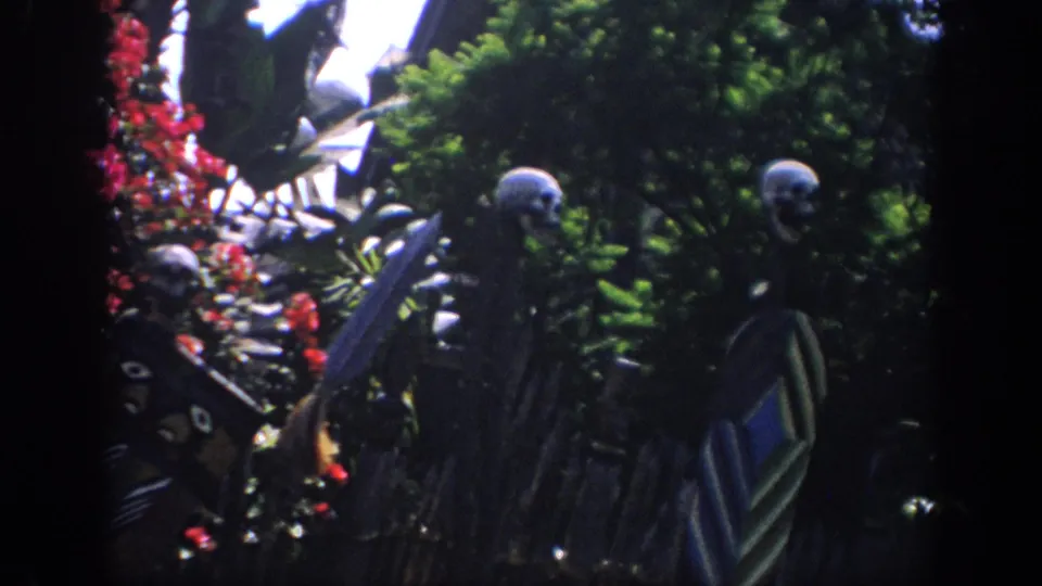 1962 Anaheim garden frame with skeleton figures set among tropical foliage, red blooms, and deep shadowed framing.