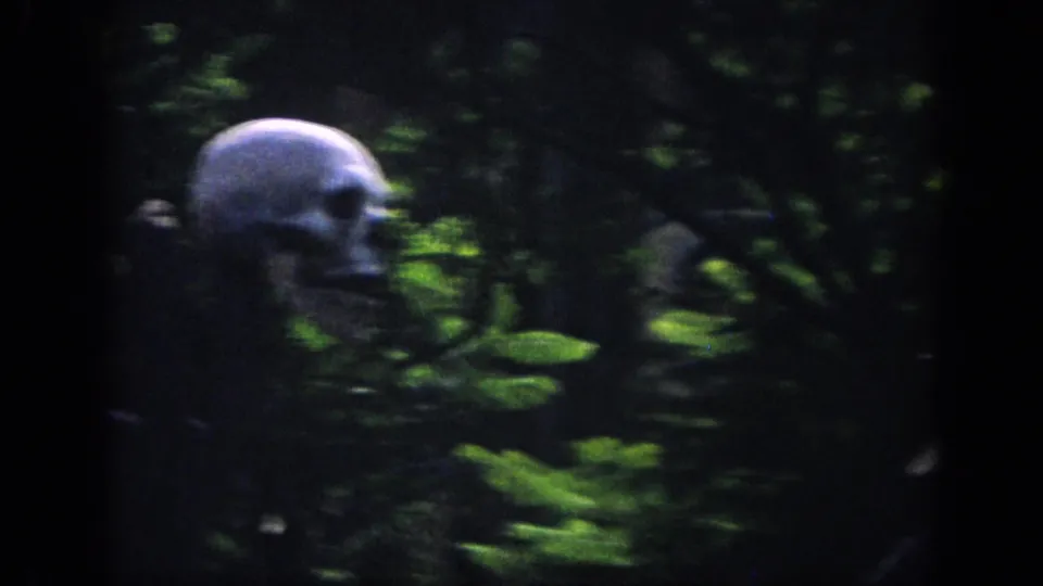 Motion-blurred 1962 Anaheim 8mm frame showing a skull prop against shadowed leaves and attraction greenery.