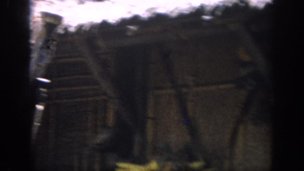 Dim 8mm view of a thatched hut-like structure in a leafy Anaheim attraction setting, with most detail obscured by shadow.